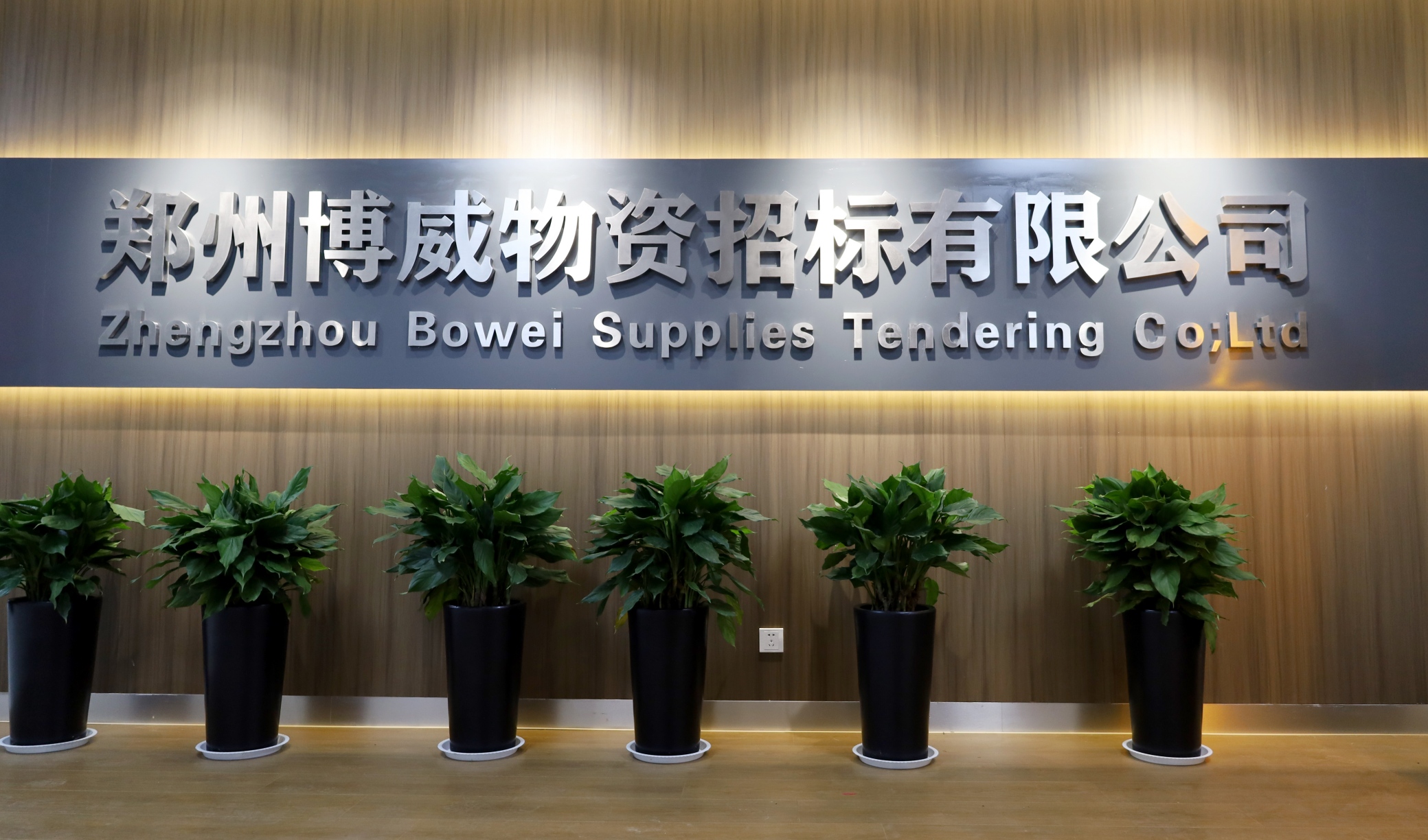 焕新升级　聚力前行——郑州博威招标有限公司完成品牌及业务体系升级变更